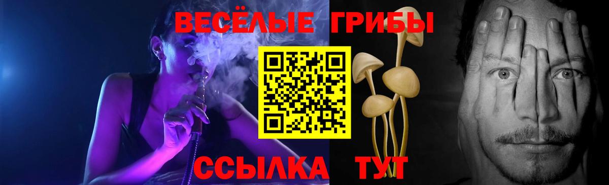 Галлюциногенные грибы MAGIC MUSHROOMS  Вход с VPN  Асино  Галлюциногенные грибы GOLDEN TEACHER 